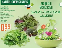Klaas und Kock Deutschland Pflücksalat oder Rucolasalat Angebot