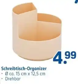 Rossmann Schreibtisch-Organizer Angebot