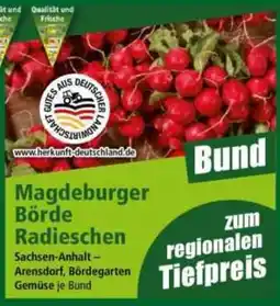 Norma Magdeburger Börde Radieschen Angebot