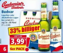 Norma Budweiser Budvar Angebot