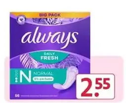 Rossmann Always Daily Fresh Normal Angebot