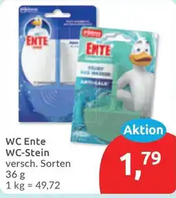 Budni WC Ente WC-Stein Angebot