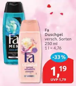 Budni Fa Duschgel Angebot