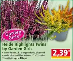 Norma Heide Highlights Twins by Garden Girls Angebot