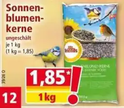Norma Sonnenblumenkerne ungeschält Angebot