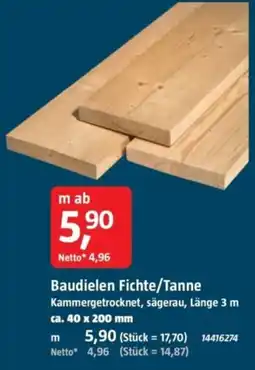Bauhaus Baudielen Fichte/Tanne Angebot