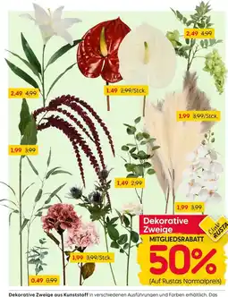 Rusta Dekorative Zweige Angebot