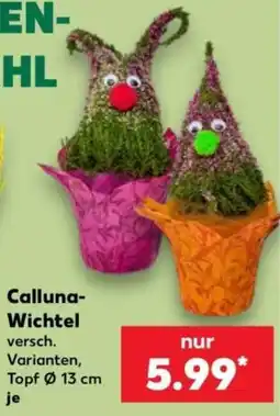 Kaufland Calluna-Wichtel Angebot