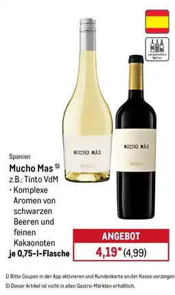 METRO Mucho Mas Angebot