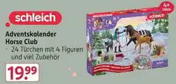 Rossmann schleich Adventskalender Horse Club Angebot