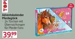 Rossmann TOPP Pferde Glück Adventskalender Angebot