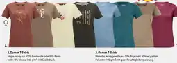 Mountain Sports Outlet Damen T-Shirts Angebot