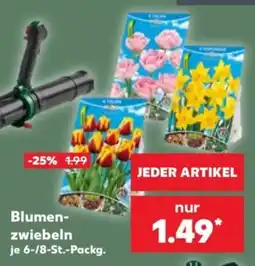 Kaufland Blumen-zwiebeln Angebot