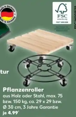 Kaufland Pflanzenroller Angebot