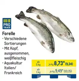 METRO PRO TRACE Forelle Angebot