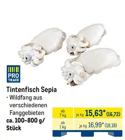METRO Tintenfisch Sepia Angebot