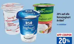 Famila Nord Ost Joghurt Natur Angebot