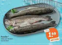 tegut Forelle Angebot