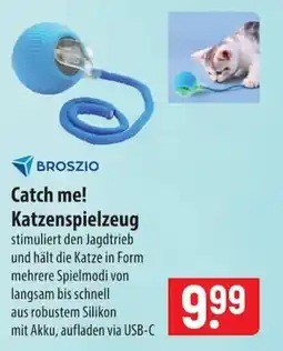 Famila Nord Ost BROSZIO Catch me! Katzenspielzeug Angebot
