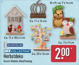 Aldi Nord JES COLLECTION Herbstdeko Angebot