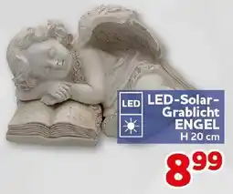 CENTERSHOP LED-Solar-Grablicht ENGEL Angebot