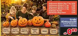 CENTERSHOP Halloween-Kürbis über 7 kg Angebot