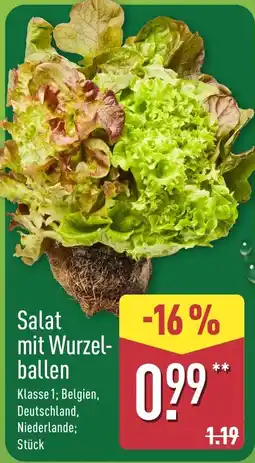 Aldi Nord Salat mit Wurzelballen Angebot