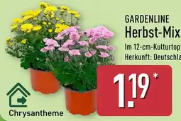 Aldi Nord GARDENLINE Herbst-Mix Angebot
