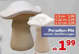CENTERSHOP Porzellan-Pilz Angebot
