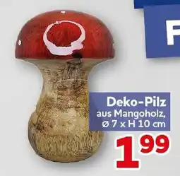 CENTERSHOP Deko-Pilz aus Mangoholz Angebot