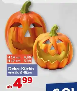 CENTERSHOP Deko-Kürbis Angebot