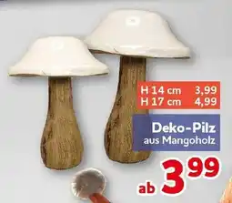CENTERSHOP Deko-Pilz aus Mangoholz Angebot