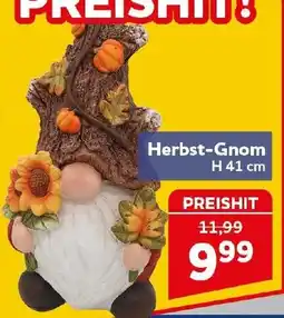 CENTERSHOP Herbst-Gnom Angebot