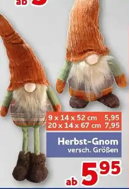 CENTERSHOP Herbst-Gnom Angebot