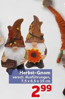 CENTERSHOP Herbst-Gnom Angebot