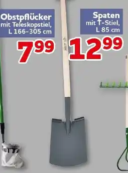 CENTERSHOP Obstpflücker mit Teleskopstiel Angebot