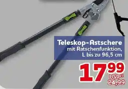 CENTERSHOP Teleskop-Astschere Angebot
