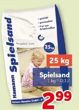 CENTERSHOP Hamann Spielsand Angebot