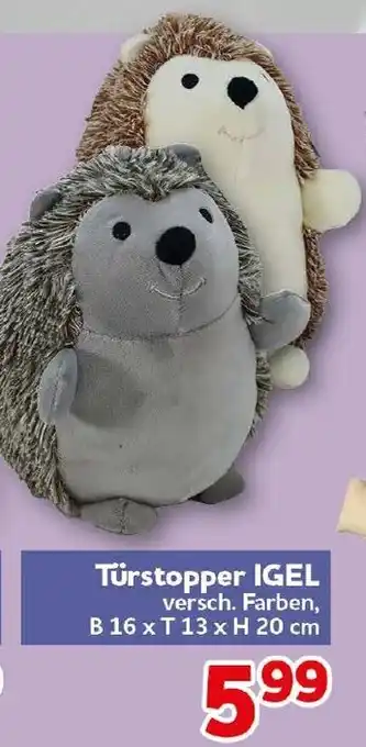 CENTERSHOP Türstopper IGEL Angebot