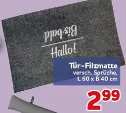 CENTERSHOP Tür-Filzmatte Angebot