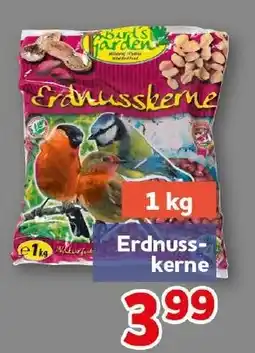 CENTERSHOP Birds Garden Erdnusskerne Angebot