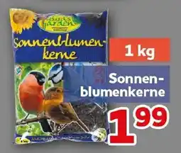 CENTERSHOP Sonnenblumenkerne Angebot