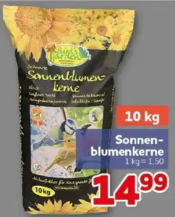 CENTERSHOP Birds Garden Sonnenblumenkerne Angebot