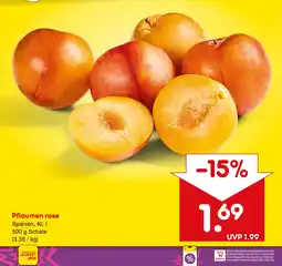 Netto Marken-Discount Pflaumen rose Angebot