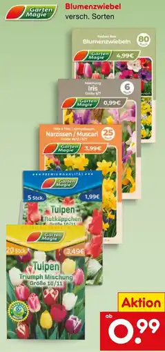Netto Marken-Discount Garten Magie Blumenzwiebeln Angebot