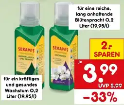 Netto Marken-Discount SERAMIS GRÜNPFLANZEN UND PALMEN Angebot