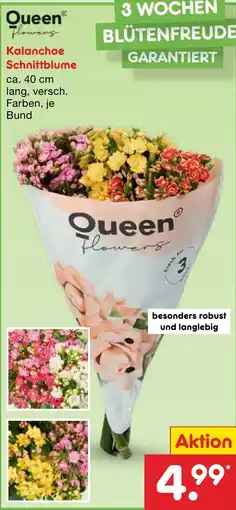 Netto Marken-Discount Queen flowers Kalanchoe Schnittblume Angebot
