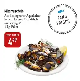 Galeria Markthalle Miesmuscheln Angebot