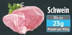 Edeka Schwein Angebot
