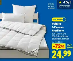 Lidl FJÖDUR 3-Kammer-Kopfkissen Angebot